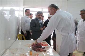 عید سعید قربان-گیلان 98